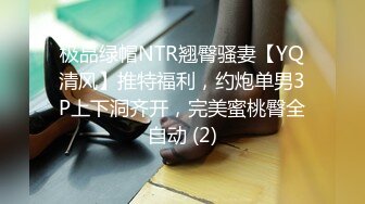 极品绿帽NTR翘臀骚妻【YQ清风】推特福利，约炮单男3P上下洞齐开，完美蜜桃臀全自动 (2)