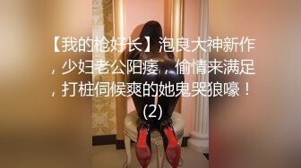 【我的枪好长】泡良大神新作，少妇老公阳痿，偷情来满足，打桩伺候爽的她鬼哭狼嚎！ (2)