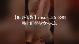 【麻豆传媒】msd-185 公厕强上肥臀欲女-米菲