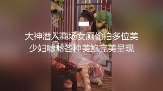 大神潜入商场女厕偷拍多位美少妇嘘嘘各种美鲍完美呈现