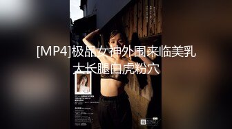 [MP4]极品女神外围来临美乳大长腿白虎粉穴