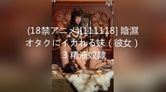 (18禁アニメ)[111118] 陰濕オタクにイカれる妹（彼女） 3 精液奴隷