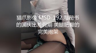 猫爪影像 MSD-192 与秘书的国庆出差假期 美腿肥臀的完美炮架