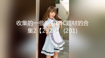 收集的一些淫妻BBC题材的合集2【292V】 (201)