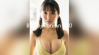 韩国bj korean 490