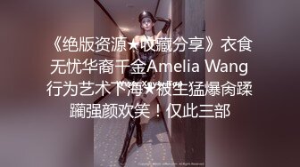 《绝版资源★收藏分享》衣食无忧华裔千金Amelia Wang行为艺术下海★被生猛爆肏蹂躏强颜欢笑！仅此三部