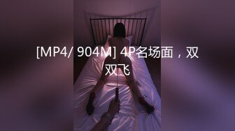 [MP4/ 904M] 4P名场面，双双飞