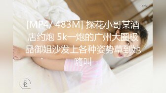 [MP4/ 483M] 探花小哥某酒店约炮 5k一炮的广州大圈极品御姐沙发上各种姿势草到她嗨叫