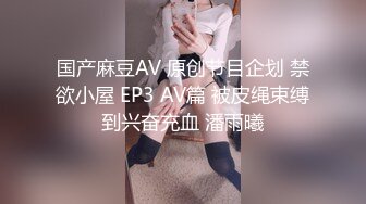 国产麻豆AV 原创节目企划 禁欲小屋 EP3 AV篇 被皮绳束缚到兴奋充血 潘雨曦