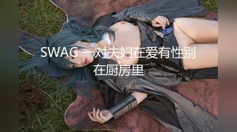 SWAG 一对夫妇在爱有性别在厨房里