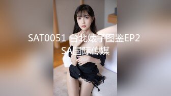 SAT0051 台北婊子图鉴EP2 SA国际传媒