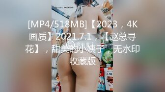 [MP4/518MB]【2023，4K画质】2021.7.1，【赵总寻花】，甜美的小姨子，无水印收藏版