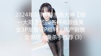 2024年3月推特泡良大神【榜一大哥 】约操各种高颜值美女3P车震VIP福利，房产销售、女邻居人妻杀手推荐 (3)