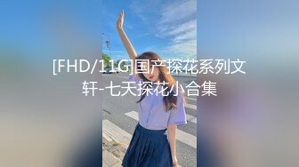 [FHD/11G]国产探花系列文轩-七天探花小合集