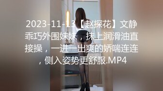 2023-11-13【赵探花】文静乖巧外围妹妹，抹上润滑油直接操，一进一出爽的娇喘连连，侧入姿势更舒服.MP4