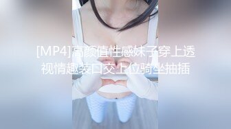 [MP4]高颜值性感妹子穿上透视情趣装口交上位骑坐抽插