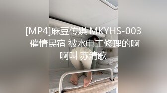 [MP4]麻豆传媒 MKYHS-003 催情民宿 被水电工修理的啊啊叫 苏清歌