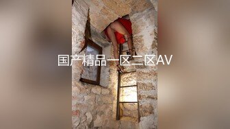 国产精品一区二区AV