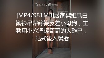 [MP4/981MB]居家禦姐風白襯衫吊帶絲襪反差小母狗，主動用小穴溫暖哥哥的大雞巴，站式後入爆插