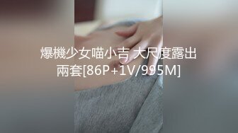 爆機少女喵小吉 大尺度露出兩套[86P+1V/995M]