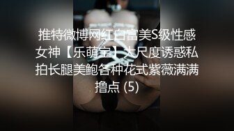 推特微博网红白富美S级性感女神【乐萌宝】大尺度诱惑私拍长腿美鲍各种花式紫薇满满撸点 (5)