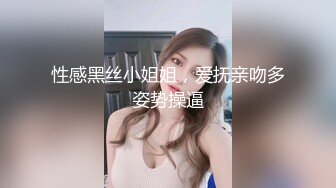 性感黑丝小姐姐，爱抚亲吻多姿势操逼