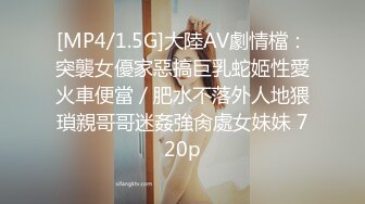 [MP4/1.5G]大陸AV劇情檔：突襲女優家惡搞巨乳蛇姬性愛火車便當／肥水不落外人地猥瑣親哥哥迷姦強肏處女妹妹 720p